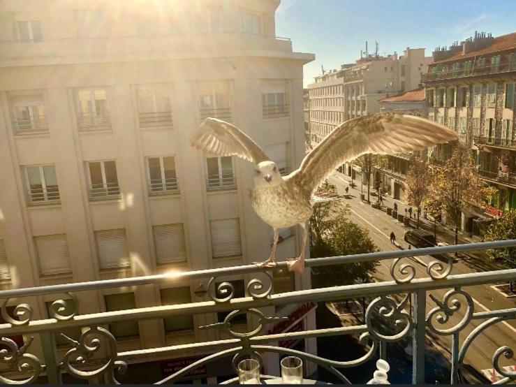 Magnifique Pied A Terre Nice Centre Notre Dame Bagian luar foto